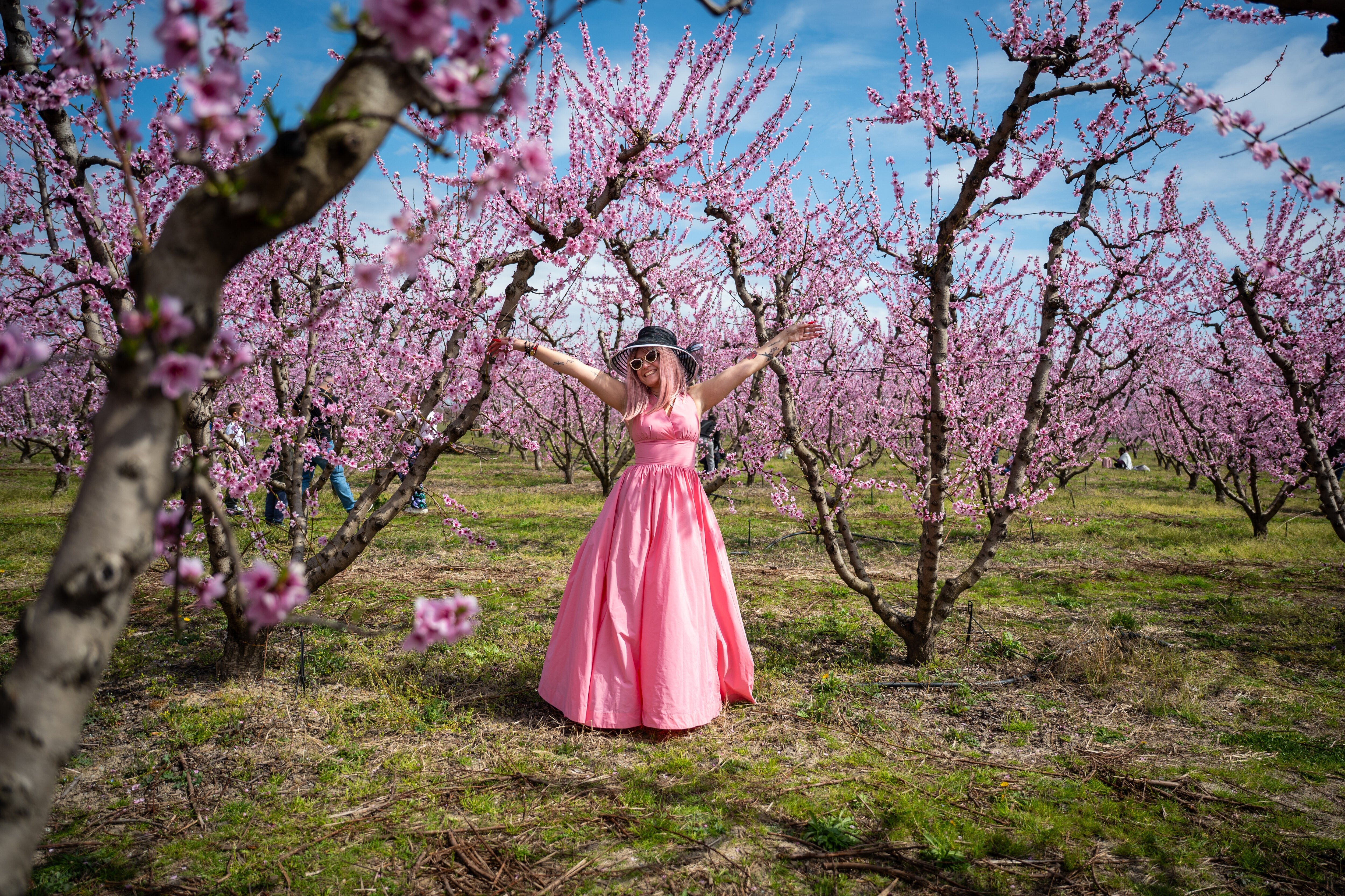 Mantalena Kalianou enjoys a walk among the blooming peach trees at an event to encourage the public to visit the blossoms