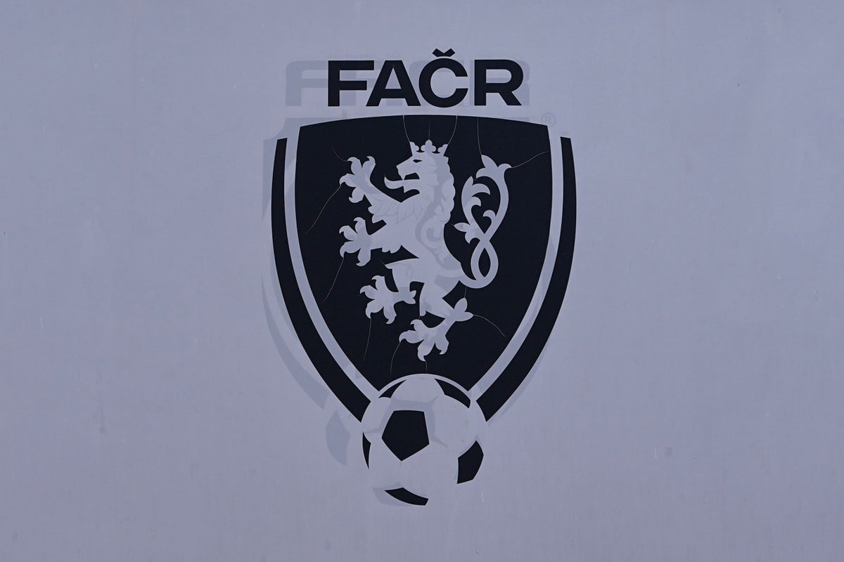 Czech football rocked as dozens detained in match-fixing scandal