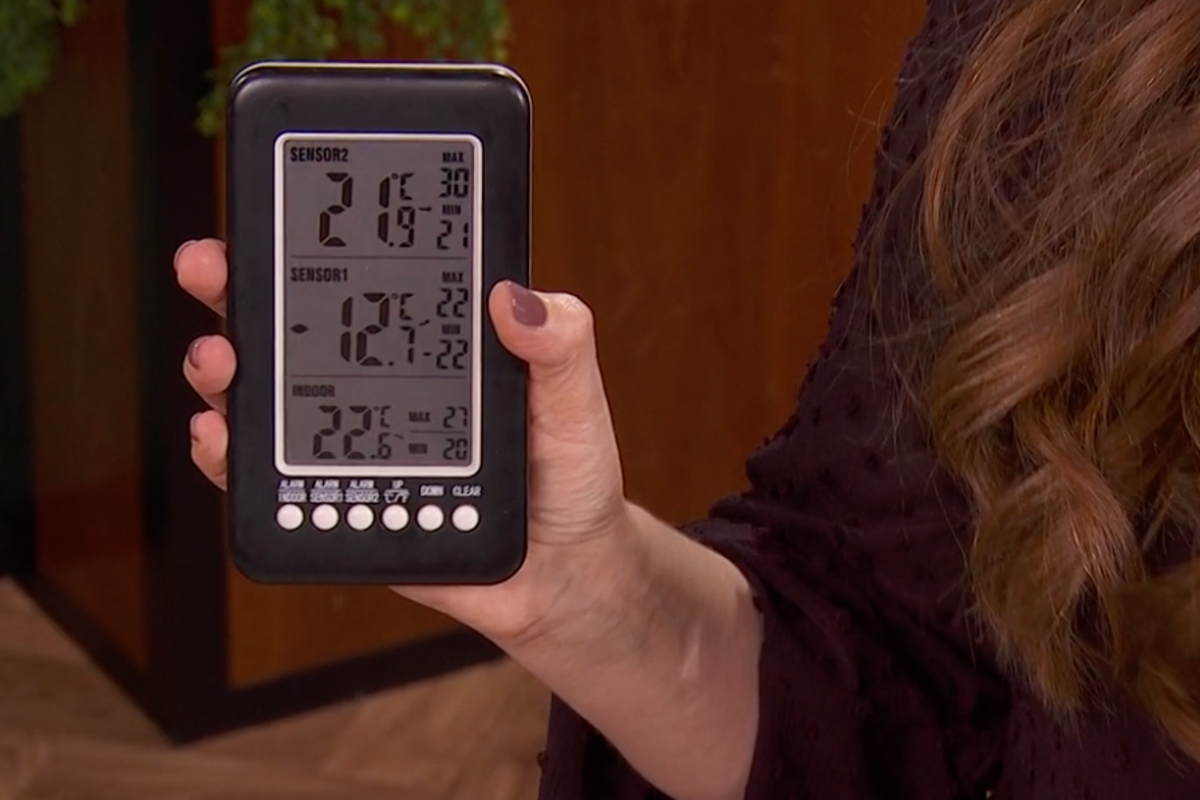 Expert shares simple £10 device that could slash £100 off bills