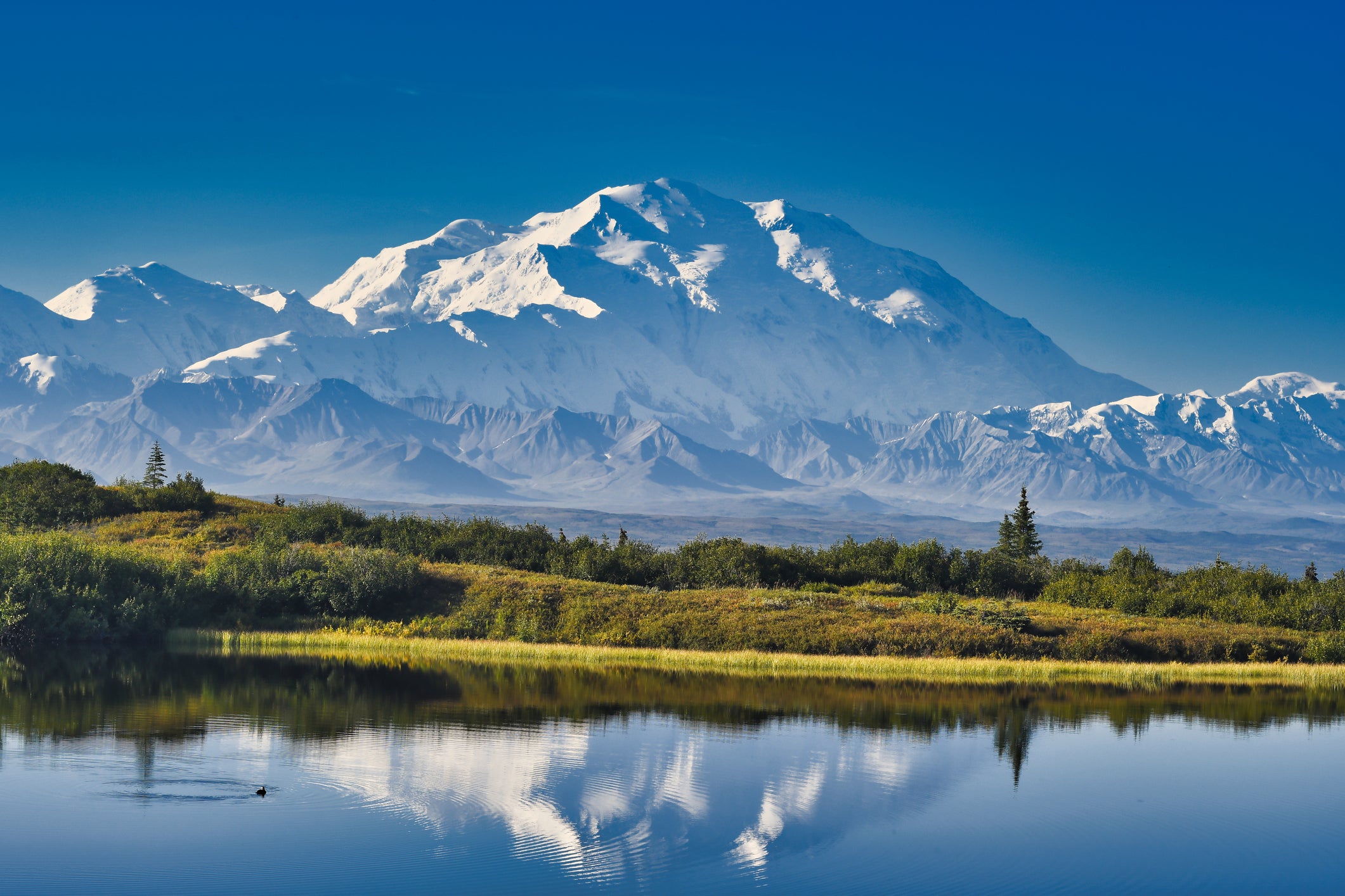 Denali, as seen from Reflection Pond in Denali National Park