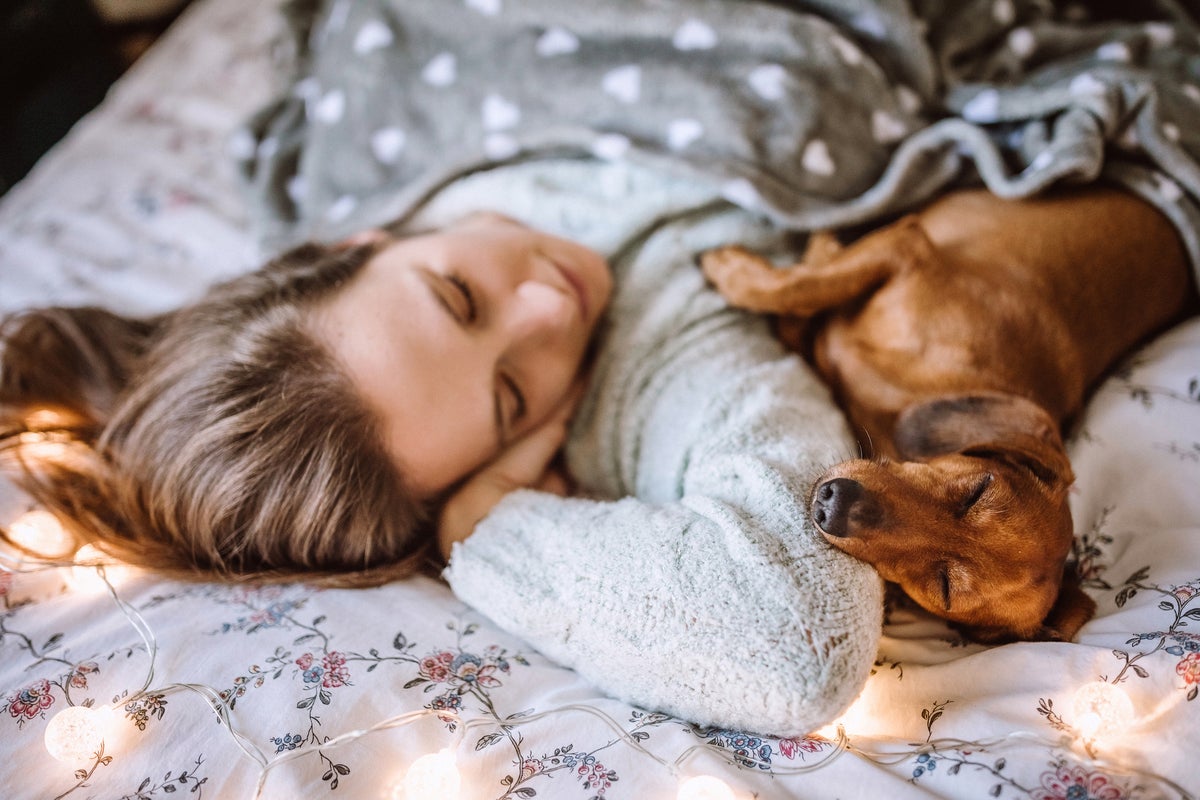 Do you love sleeping next to your pet? New study reveals hidden risks
