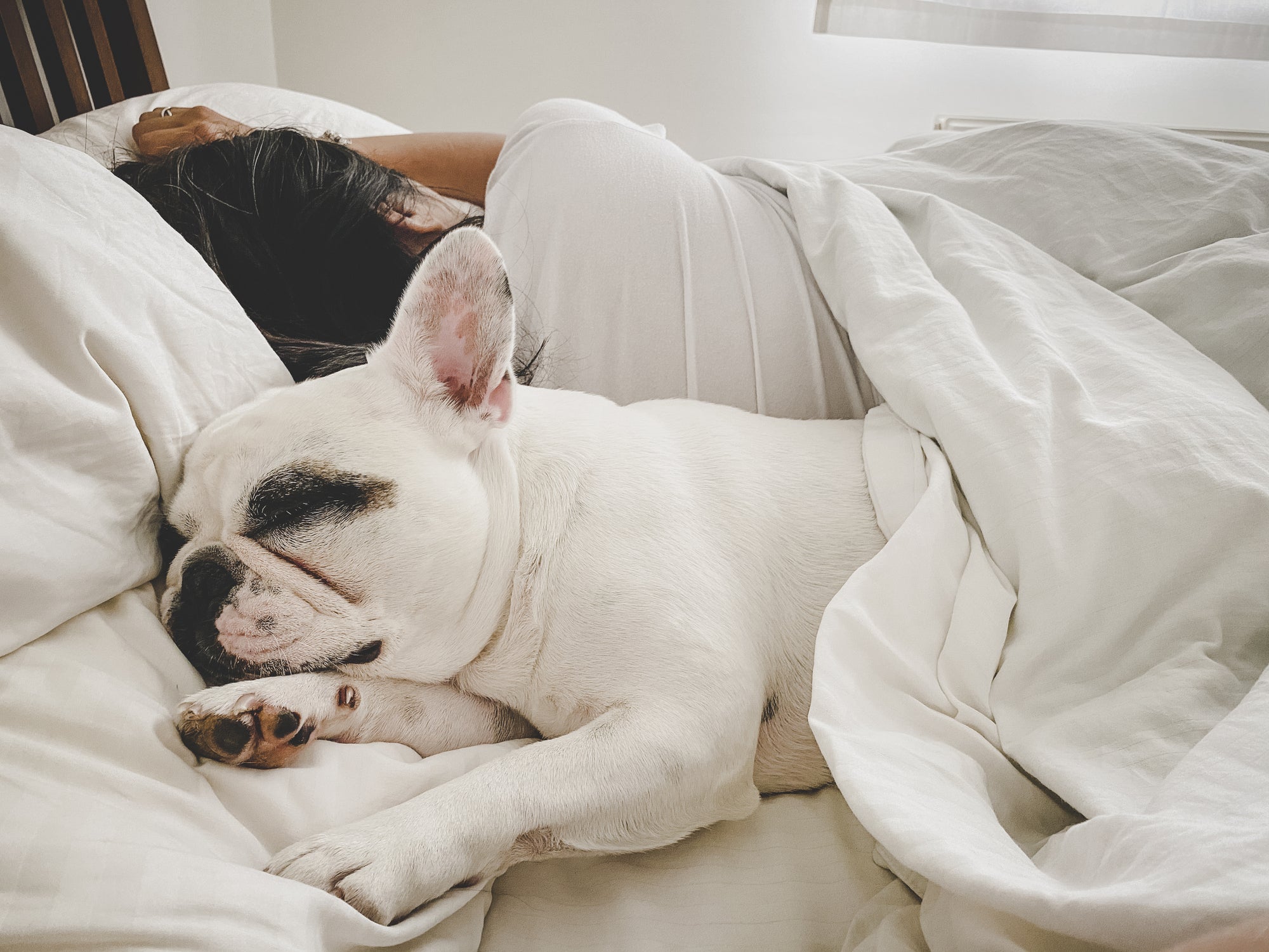 Waking up with a pet next to them can bring a sense of happiness, which may lead people to feel they slept well