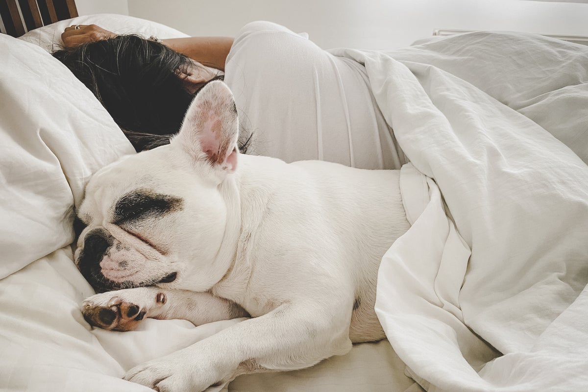 Why sharing a bed with your pet could negatively impact your health