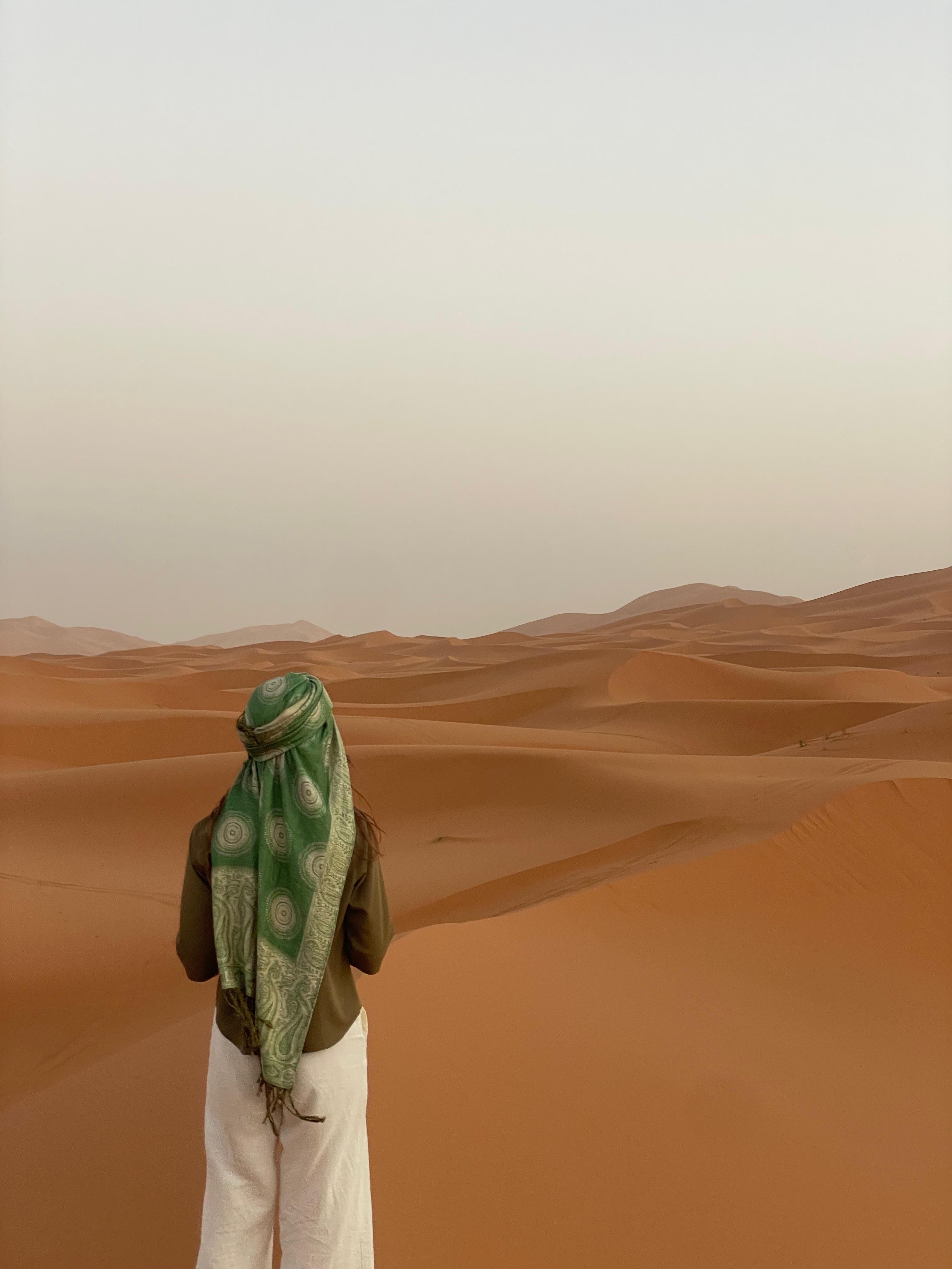 The dunes of the Sahara