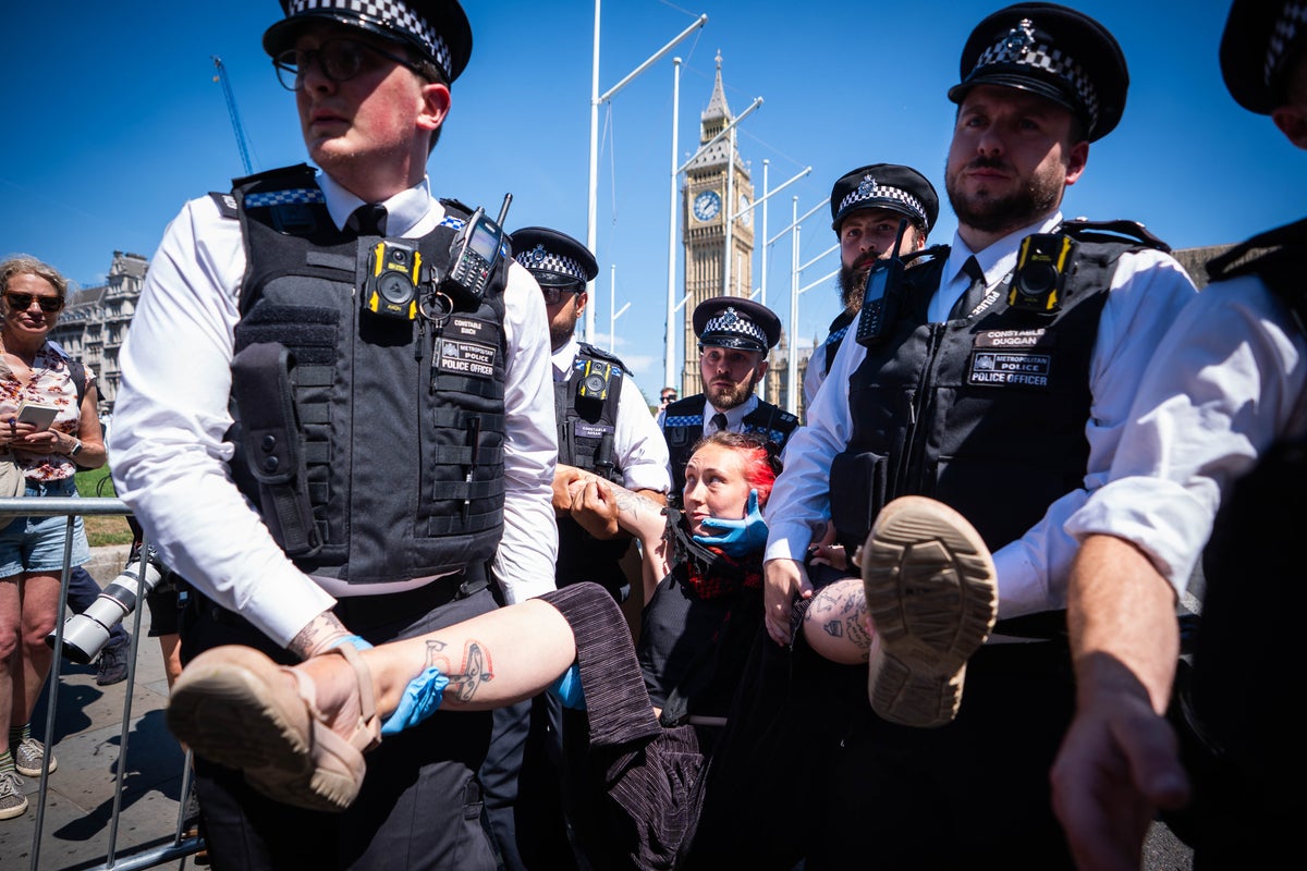 Met Police reveal new Palestine Action stance – this is what could happen next