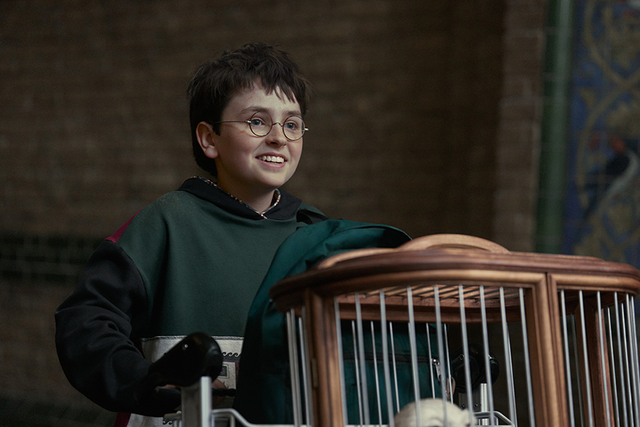 <p>Dominic McLaughlin como Harry Potter en ‘Harry Potter y la piedra filosofal’ </p>
