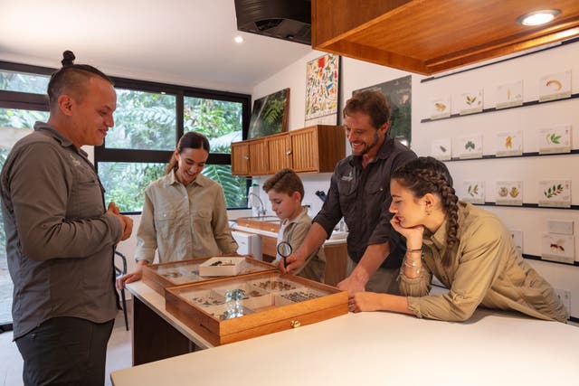 The rise of regenerative travel: Discover the retreat where every stay ...
