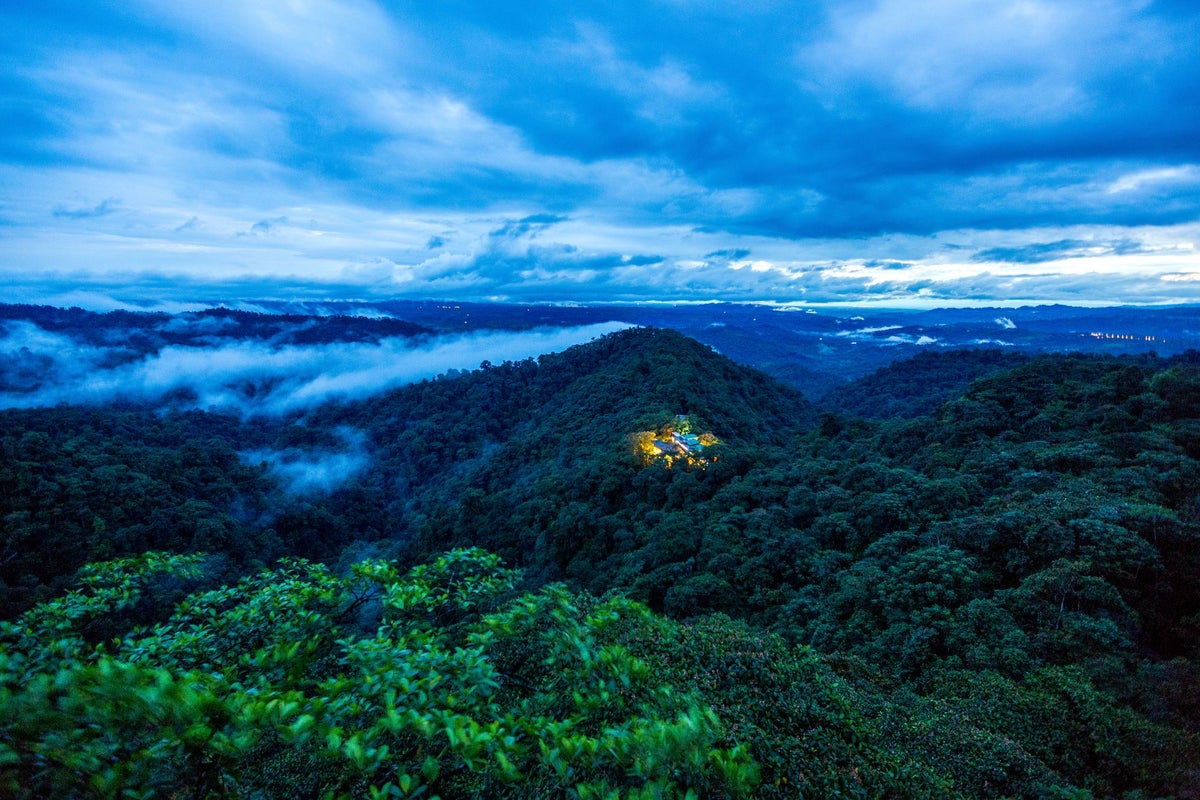 The rise of regenerative travel: Discover the retreat where every stay supports rainforest conservation and restoration The rise of regenerative travel: Discover the retreat where every stay supports rainforest conservation and restoration