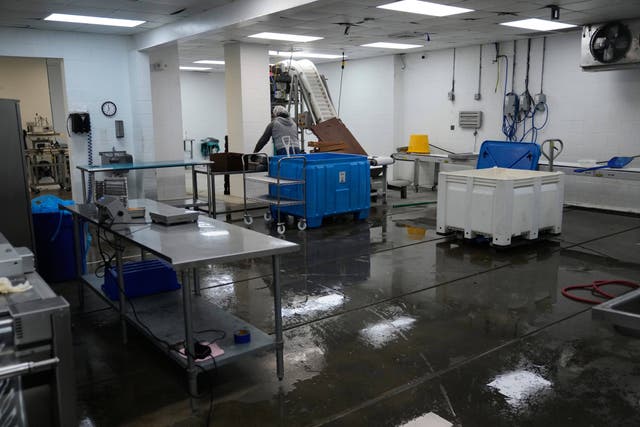 INMIGRACIÓN-PERMISOS LABORALES