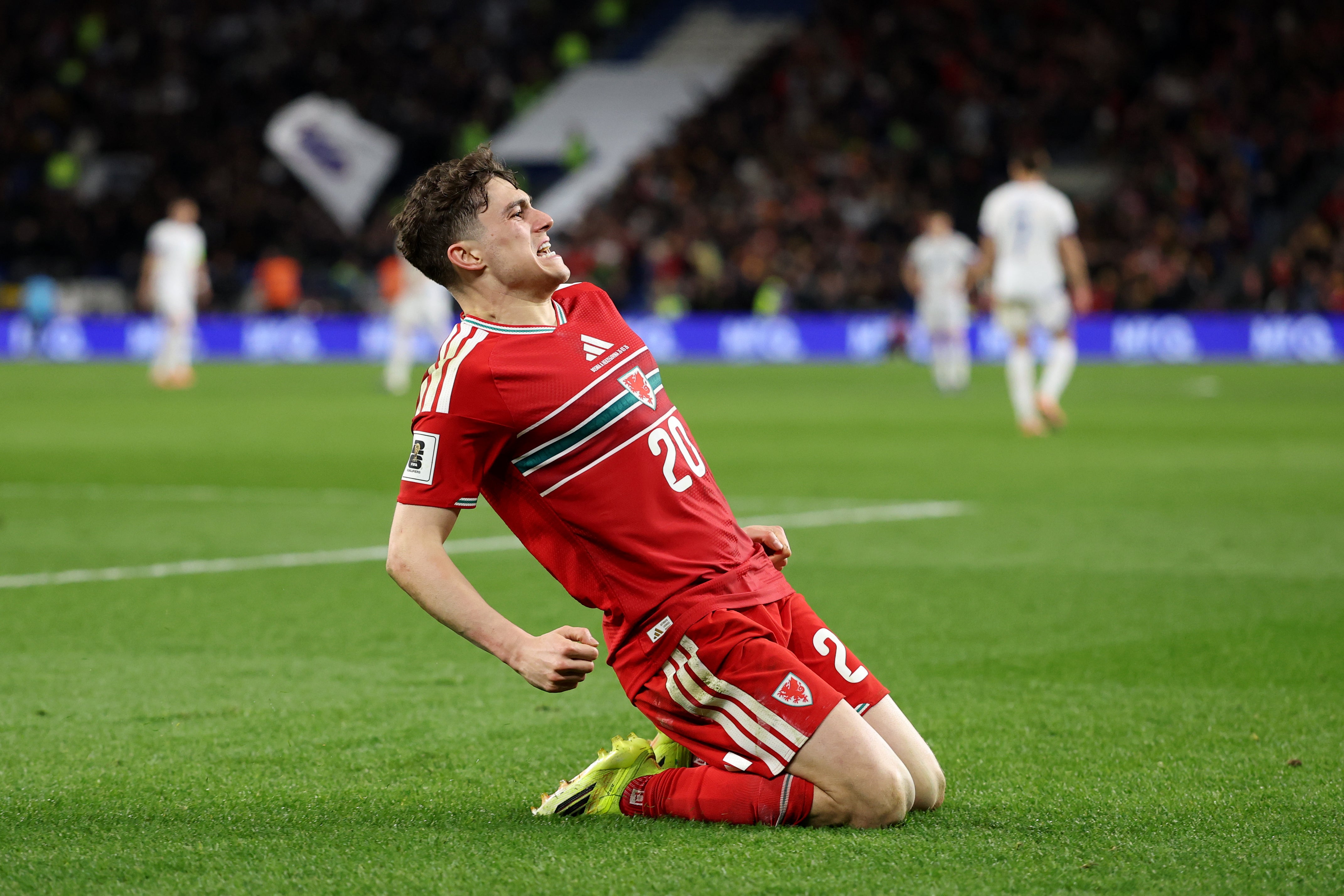 Dan James scored an absolute screamer to put Wales ahead