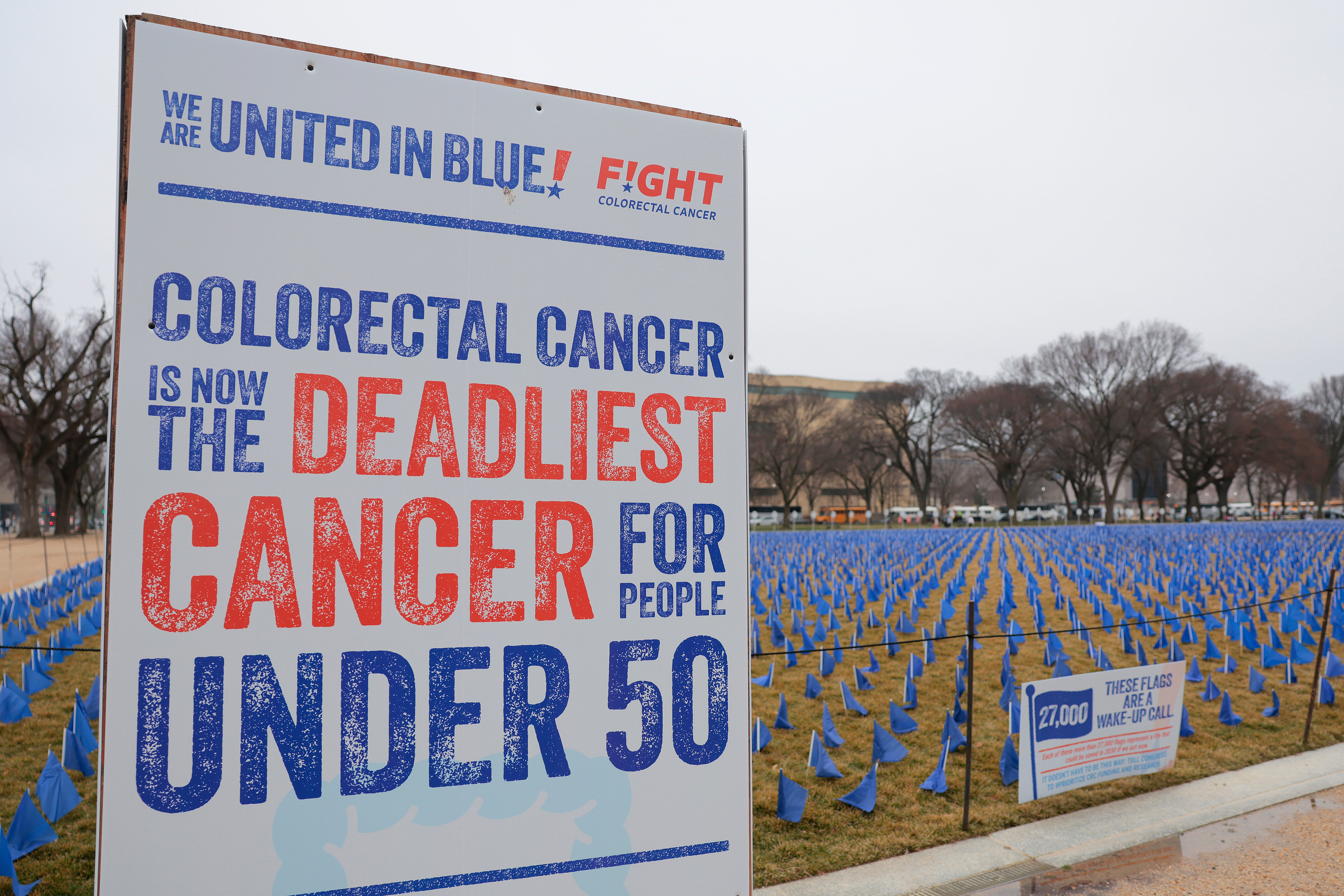 Some 27,000 blue flags representing lives that could be saved from colorectal cancer with further funding and research are seen at the National Mall in Washington, D.C., earlier this month. More than two million new cases are expected this year. GLP-1s have shown promise in reducing the risk of some cancers, although more research is needed