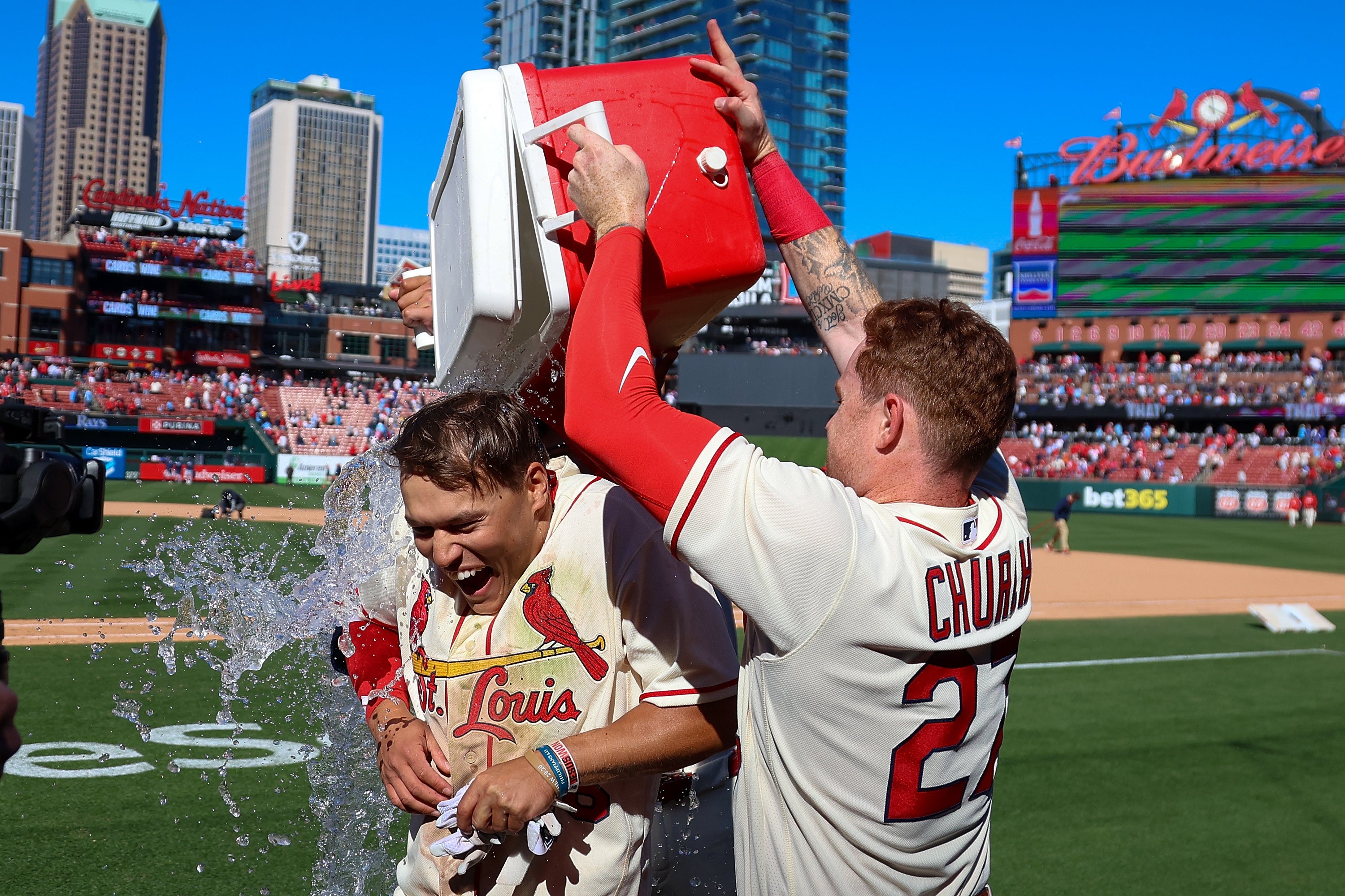 RAYS-CARDENALES