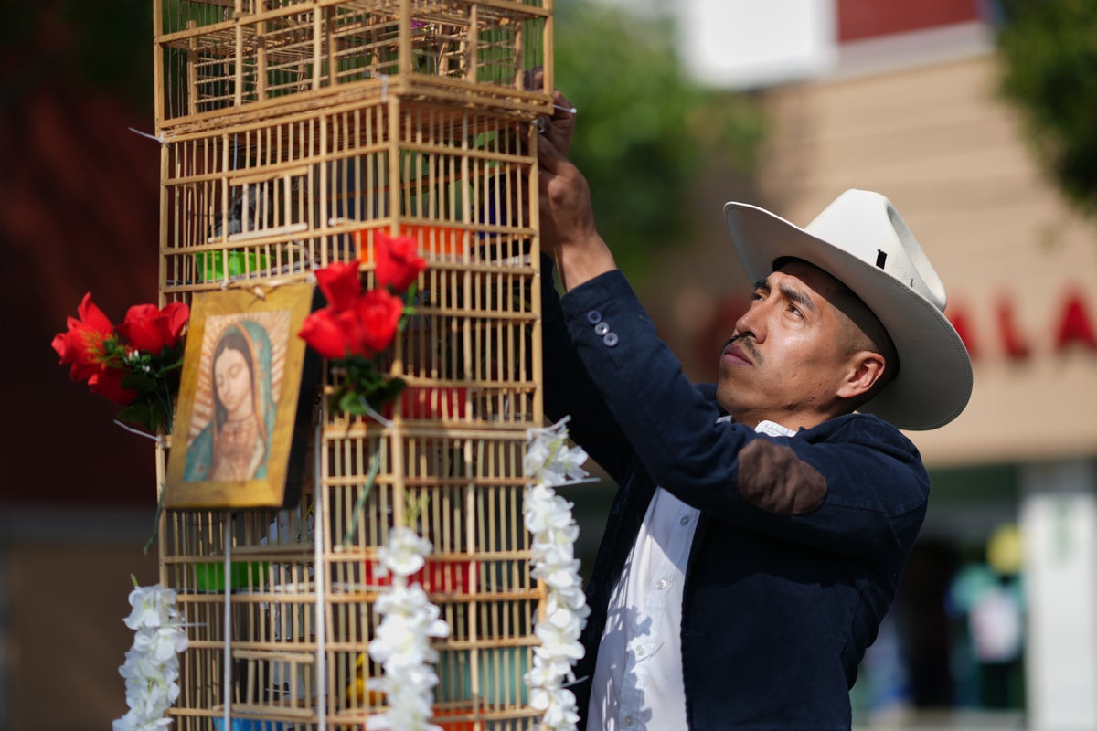These men carry towers of birds through Mexico’s streets. They say their tradition is dying out. – UK Times