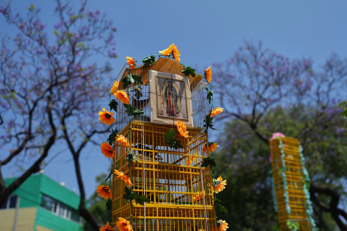 Photos of Mexico’s bird vendors making their annual pilgrimage to the Basilica of Guadalupe – UK Times
