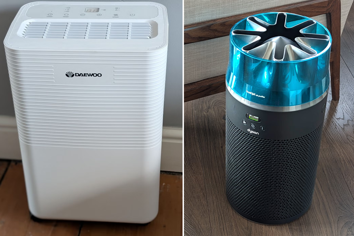 Air purifiers vs dehumidifiers: Which one your home needs, according to experts
