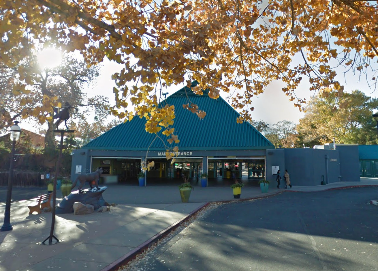 Officials said that Alice has been returned to her enclosure at ABQ Biopark