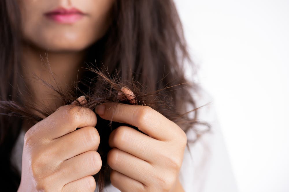 Dry Roots Hair Best treatments for dry hair, according to experts | The Independent