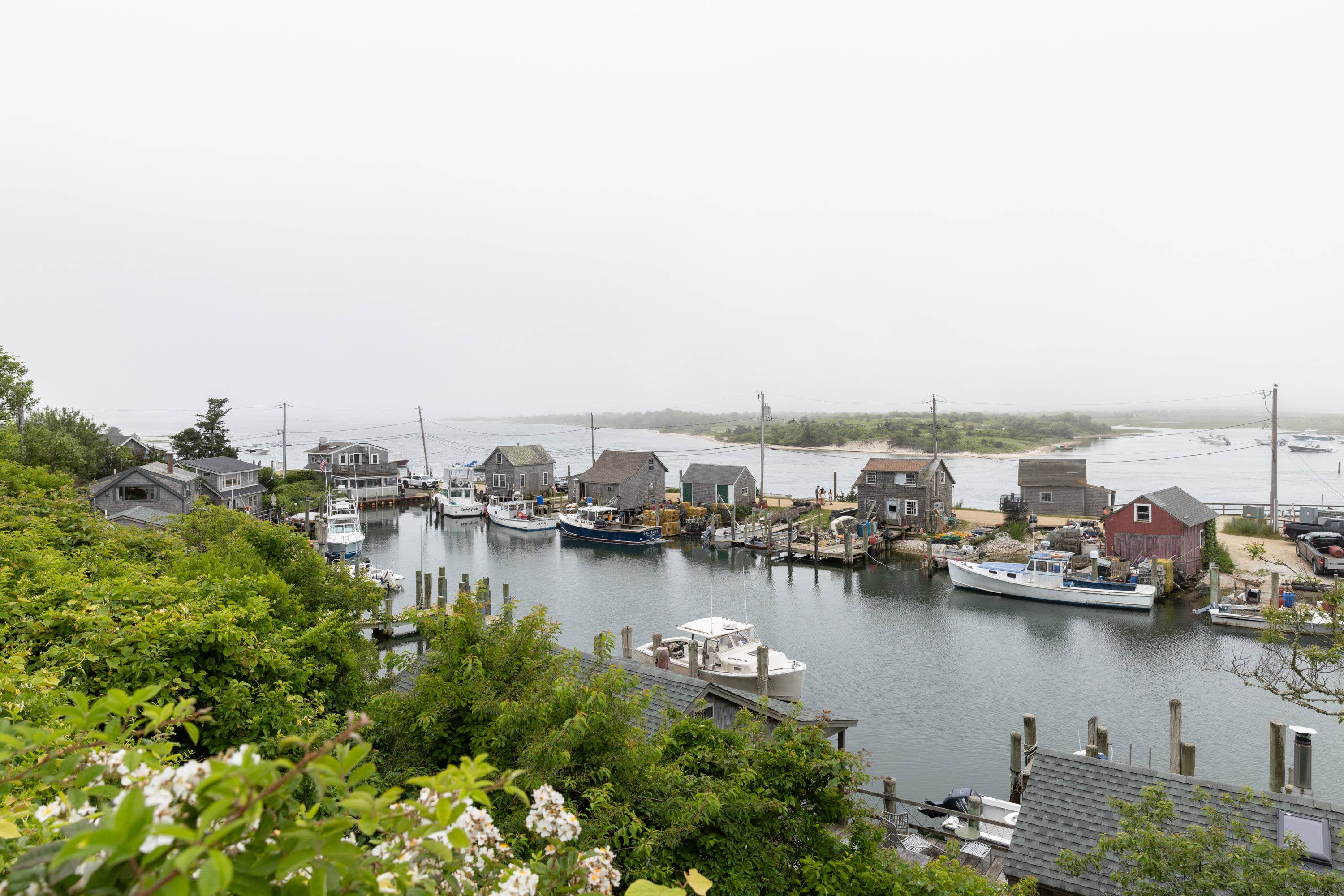 Verizon sues Vineyard town after cell service plan rejection