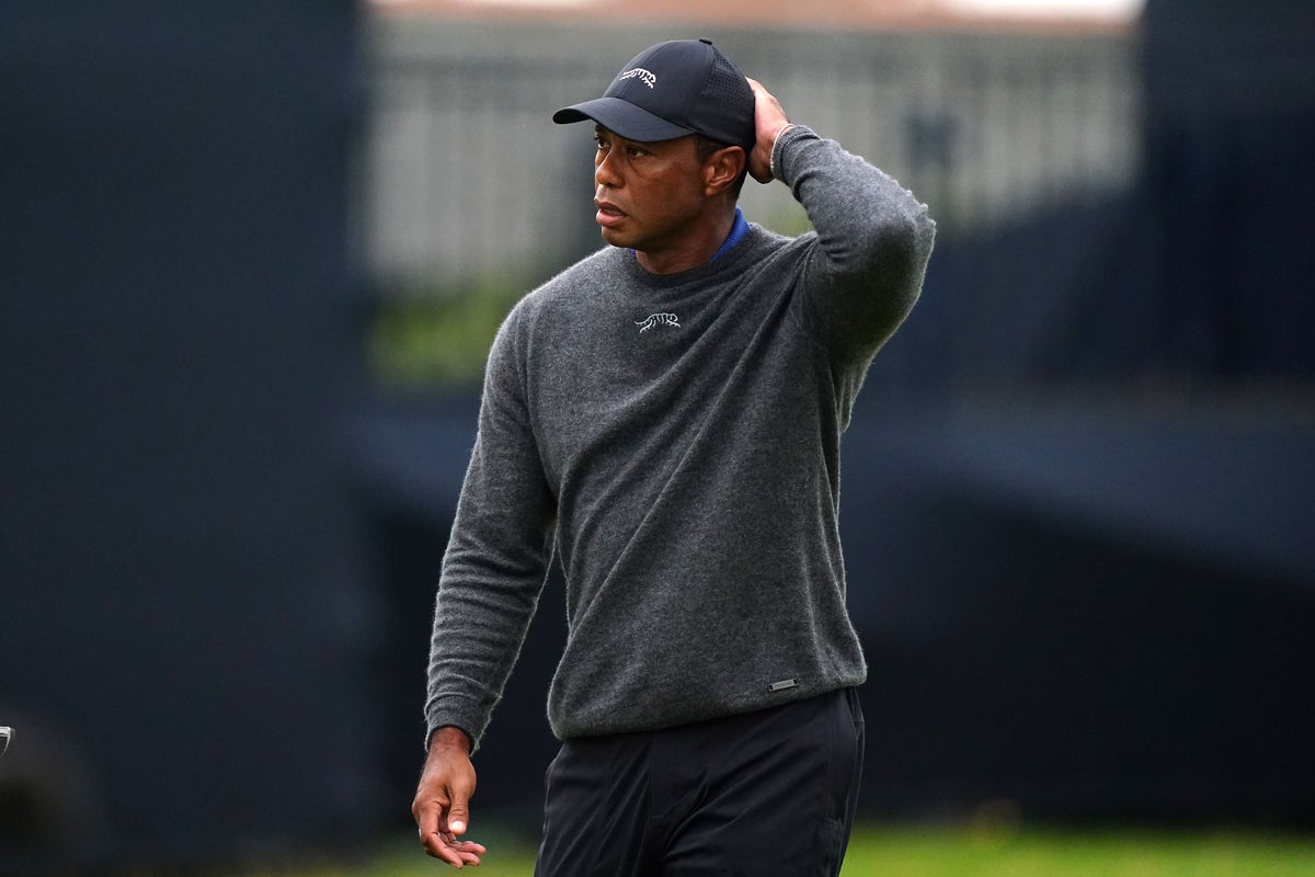 Tiger Woods to ‘seek treatment’ after pleading not guilty to DUI charge