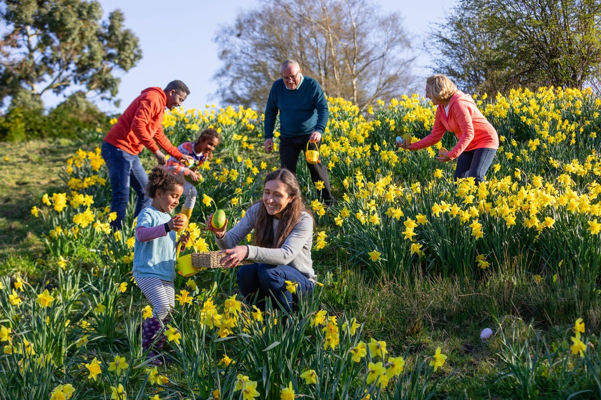 Expert tips for keeping Easter holiday costs down without spoiling the fun for kids – UK Times Expert tips for keeping Easter holiday costs down without spoiling the fun for kids – UK Times