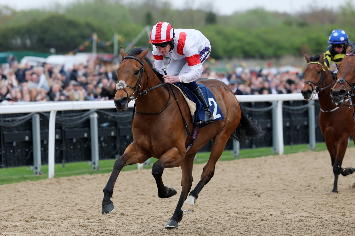 Friday Horse Racing Tips: Newcastle – UK Times