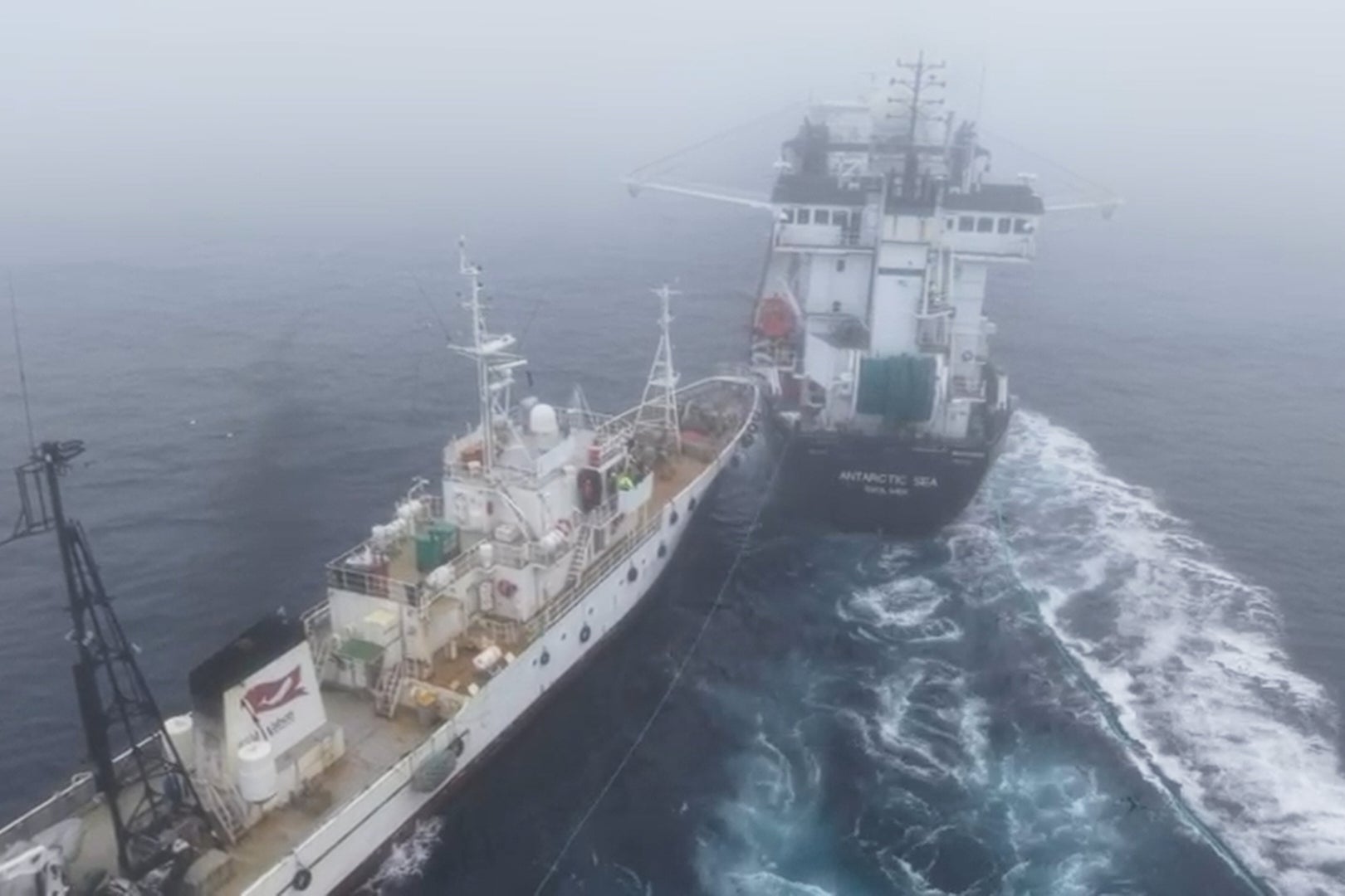 Antarctica Krill Ship Collision