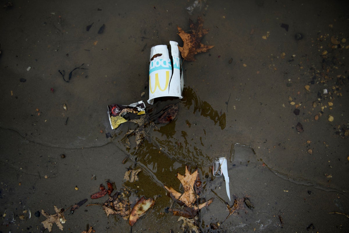 Sevmiyorum: Boş Big Mac ve McChicken sos poşetlerinin kıyı şeridine bulaşması Kanadalıların kafasını karıştırdı