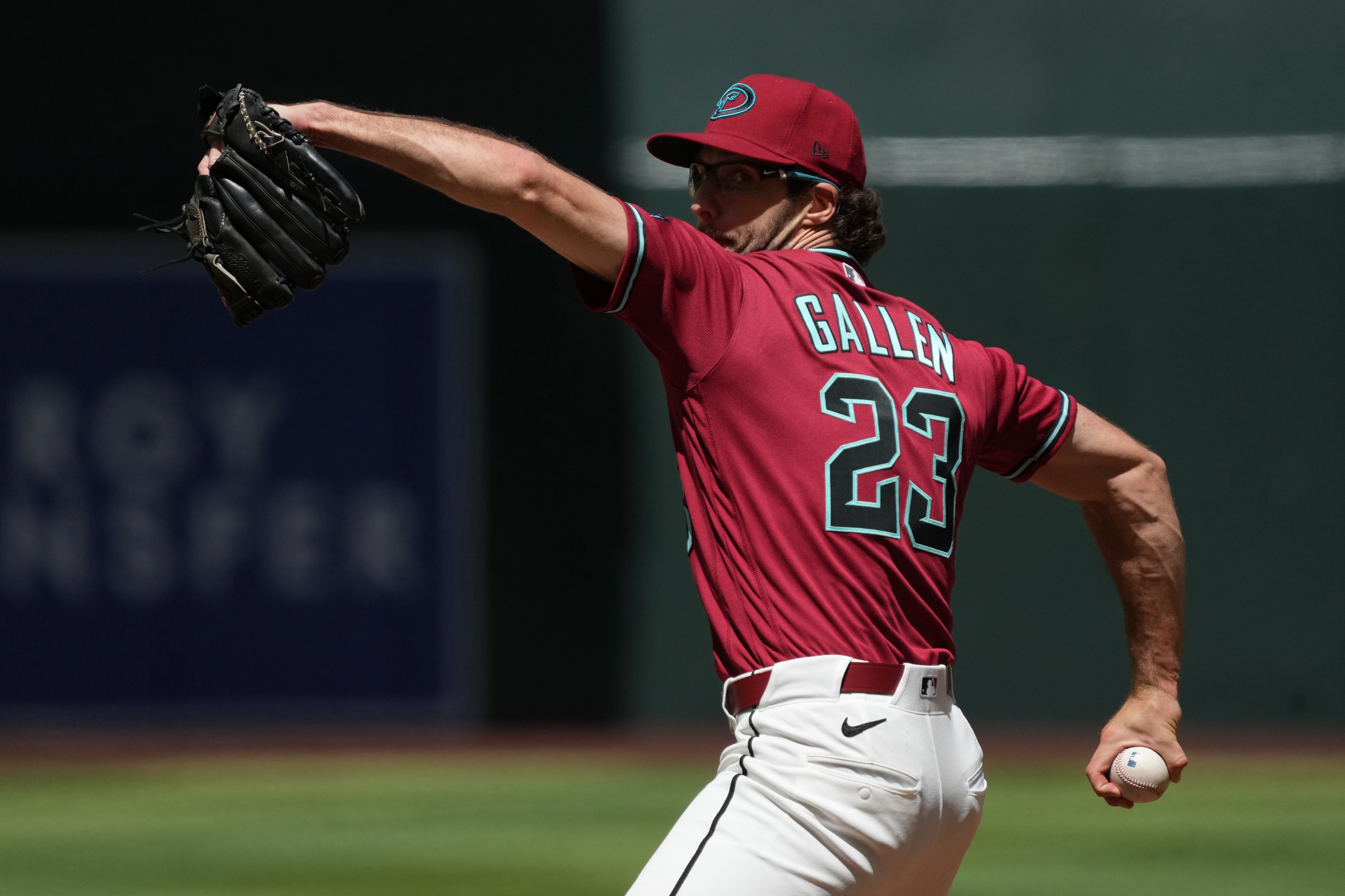TIGRES-DIAMONDBACKS
