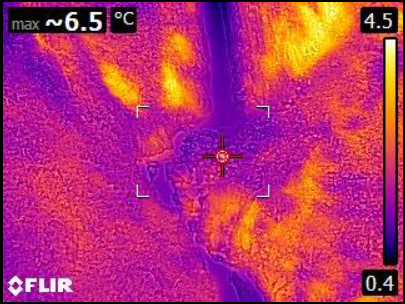 Molly was finally identified through thermal scanning
