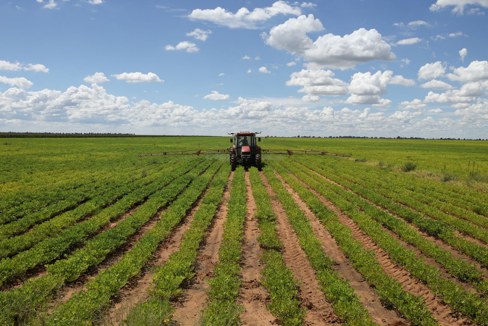 South African farmers left counting the costs of Iran war ahead of harvest