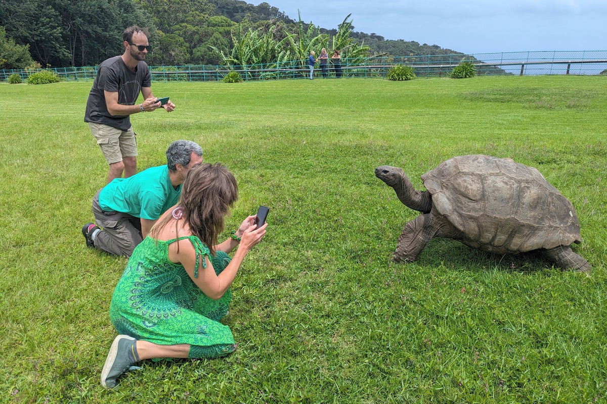 World's oldest known tortoise still very much alive despite rumor to the contrary