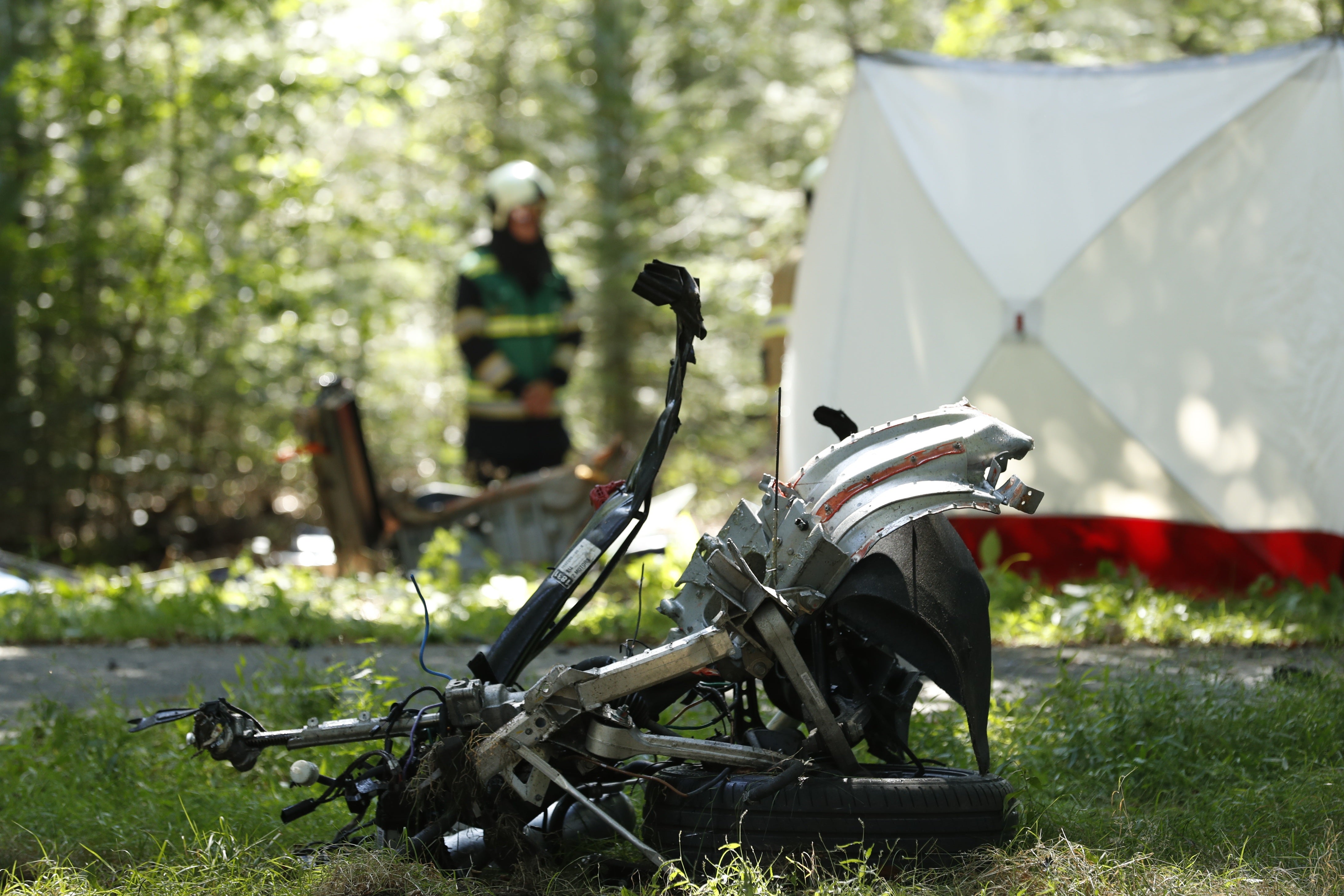 The self-driving features in Tesla vehicles are not as safe as CEO Elon Musk claims, according to Shantorria Herring’s complaint (File photo)