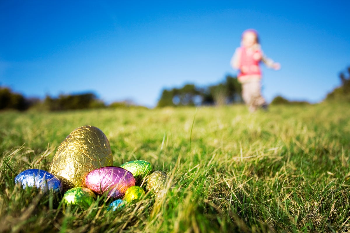 3 dead in Germany, including 10-month-old, after high winds topple tree during Easter egg hunt – UK Times 3 dead in Germany, including 10-month-old, after high winds topple tree during Easter egg hunt – UK Times
