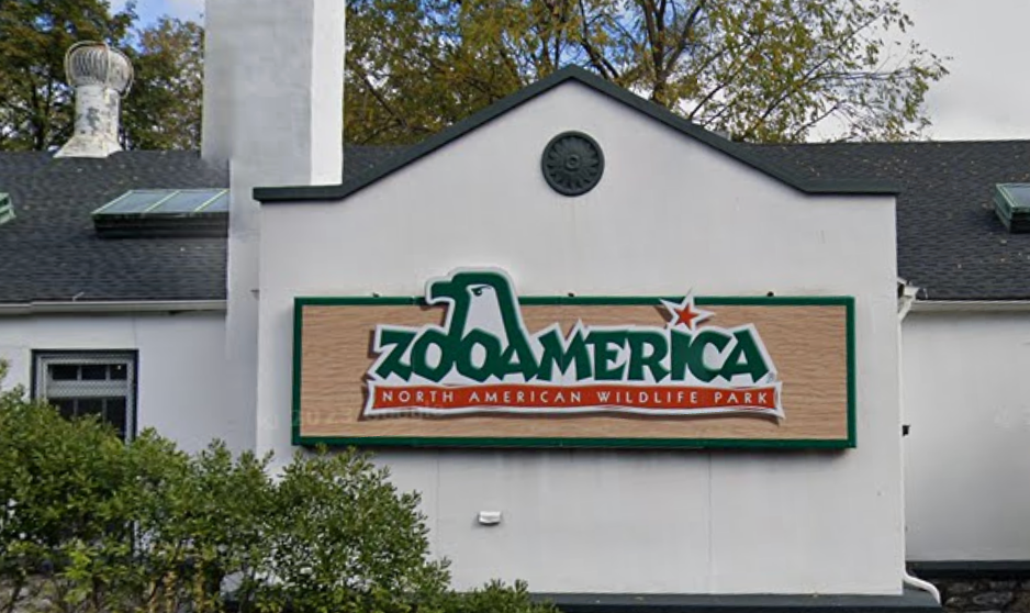 Toddler injured after sticking hand into wolf enclosure inside Pennsylvania zoo – UK Times