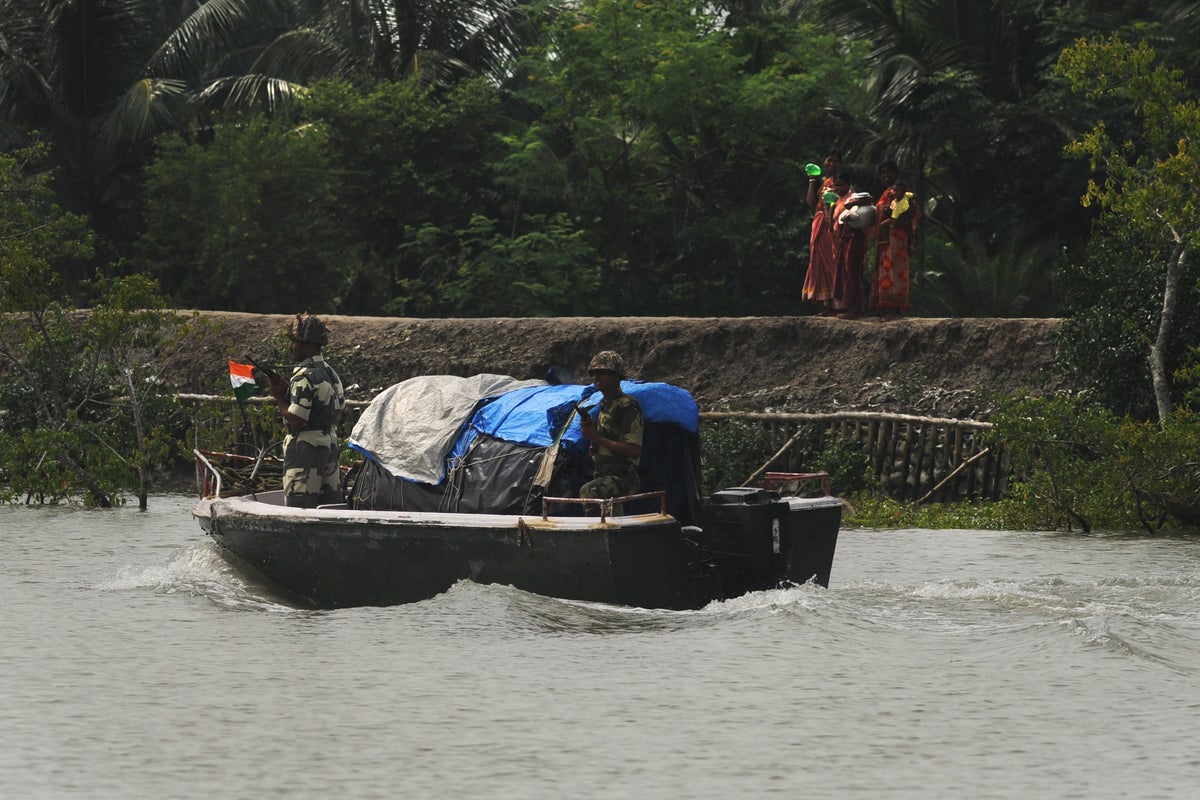 India mulls deploying crocodiles at border to stop illegal migration