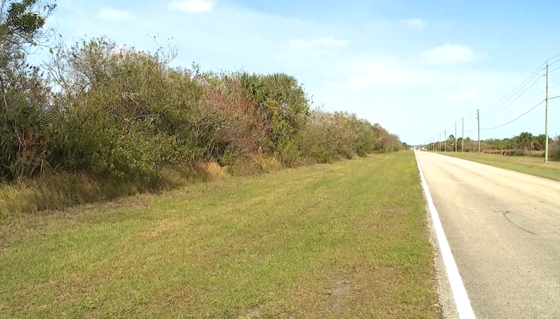 His were discovered inside a suitcase abandoned in an undeveloped area known locally as 'The Compound'
