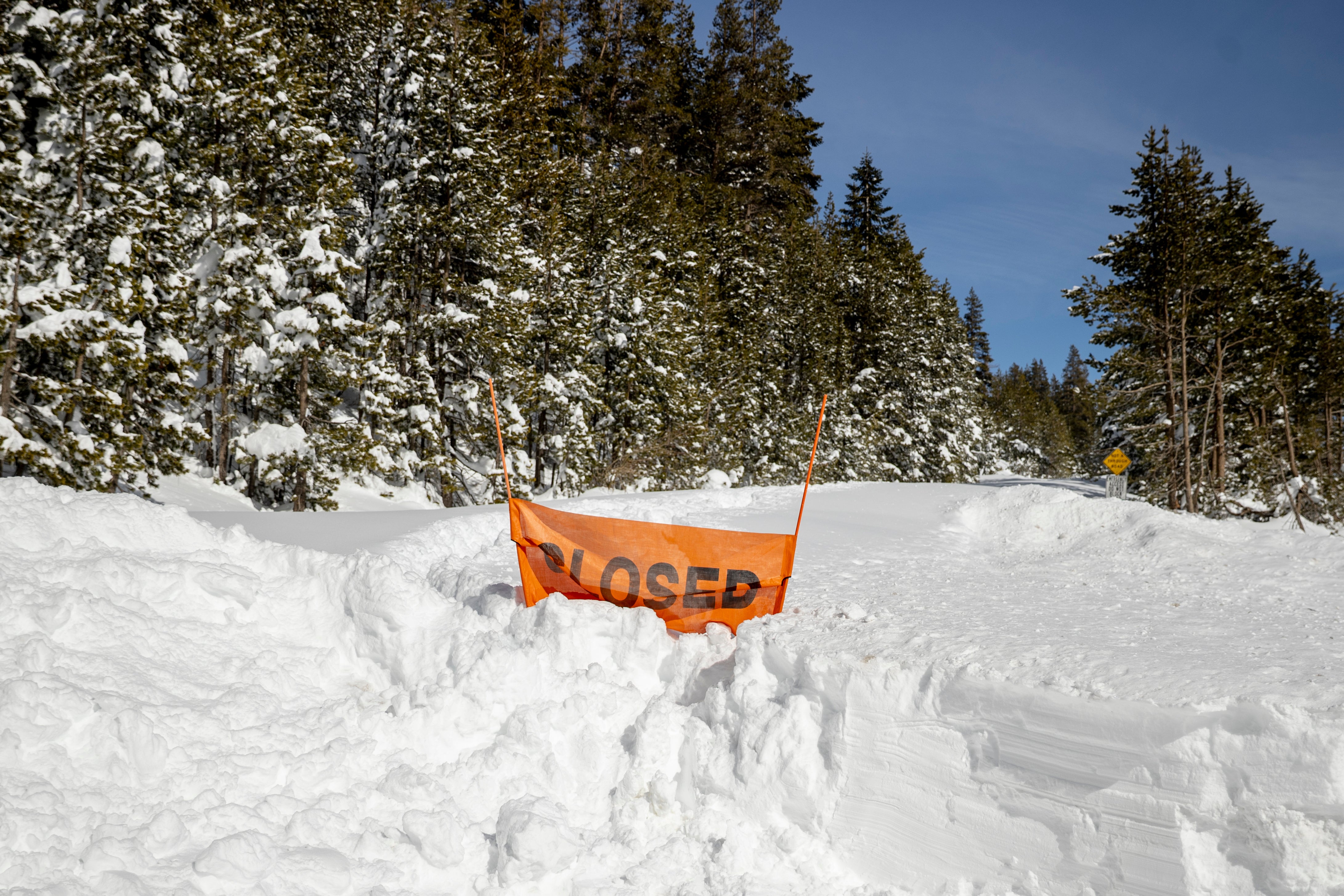 Analysis by avalanche experts questions decisions by guides on