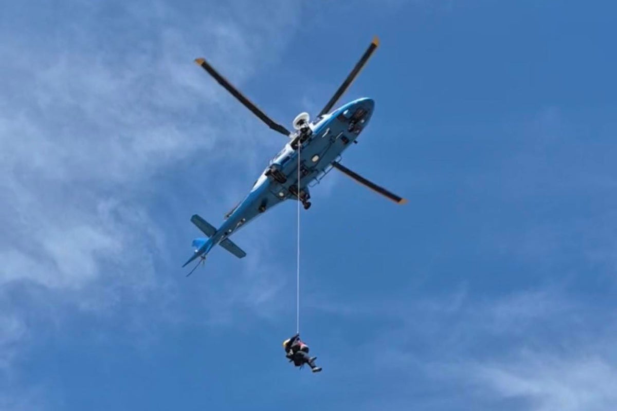 Arılar tarafından 100'den fazla kez sokulan yürüyüşçü yaşam mücadelesi veriyor