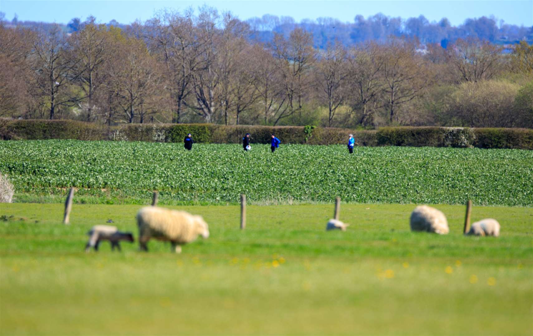independent.co.uk - Aya S. Chacar - Hormuz blockage threatens the global food supply - why grocery price hikes are coming