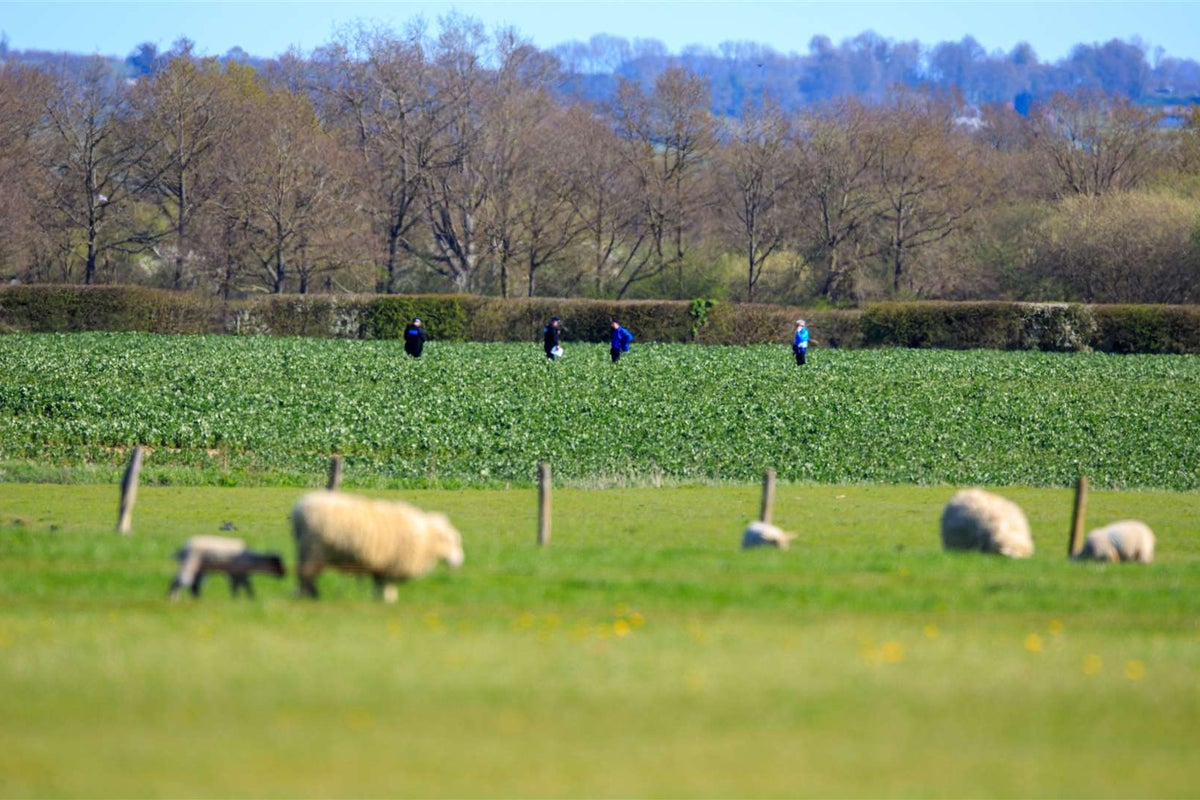 Skydiver dies after reports of fall during Easter Monday jump Skydiver dies after reports of fall during Easter Monday jump
