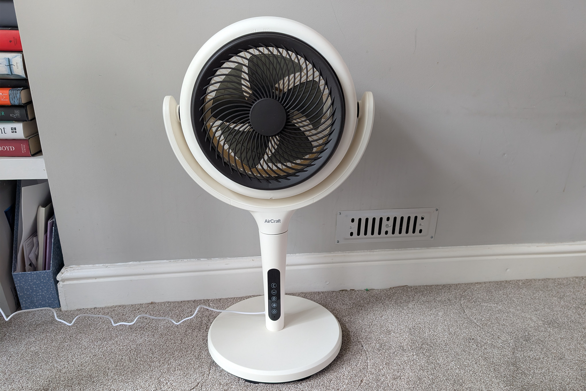 12 best fans to beat the heat, tested and reviewed by an exp