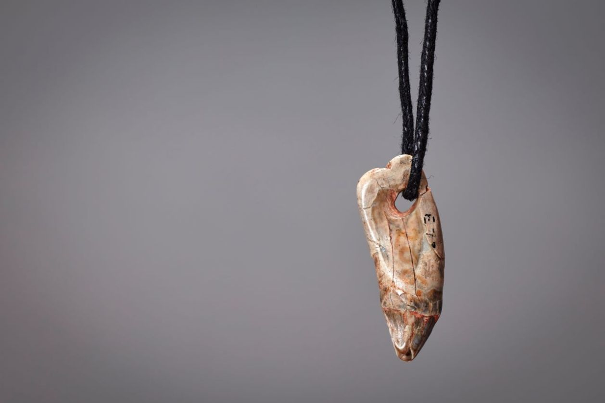 What15,0000-year-old jewellery found in a cave tells us about prehistoric life