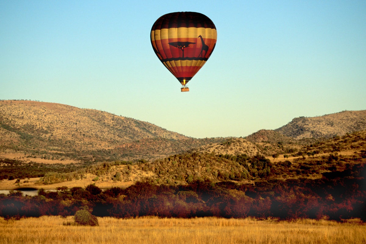 Hot air balloon with 13 onboard makes emergency landing in backyard thanks to &lsquo;masterful&rsquo; pilot