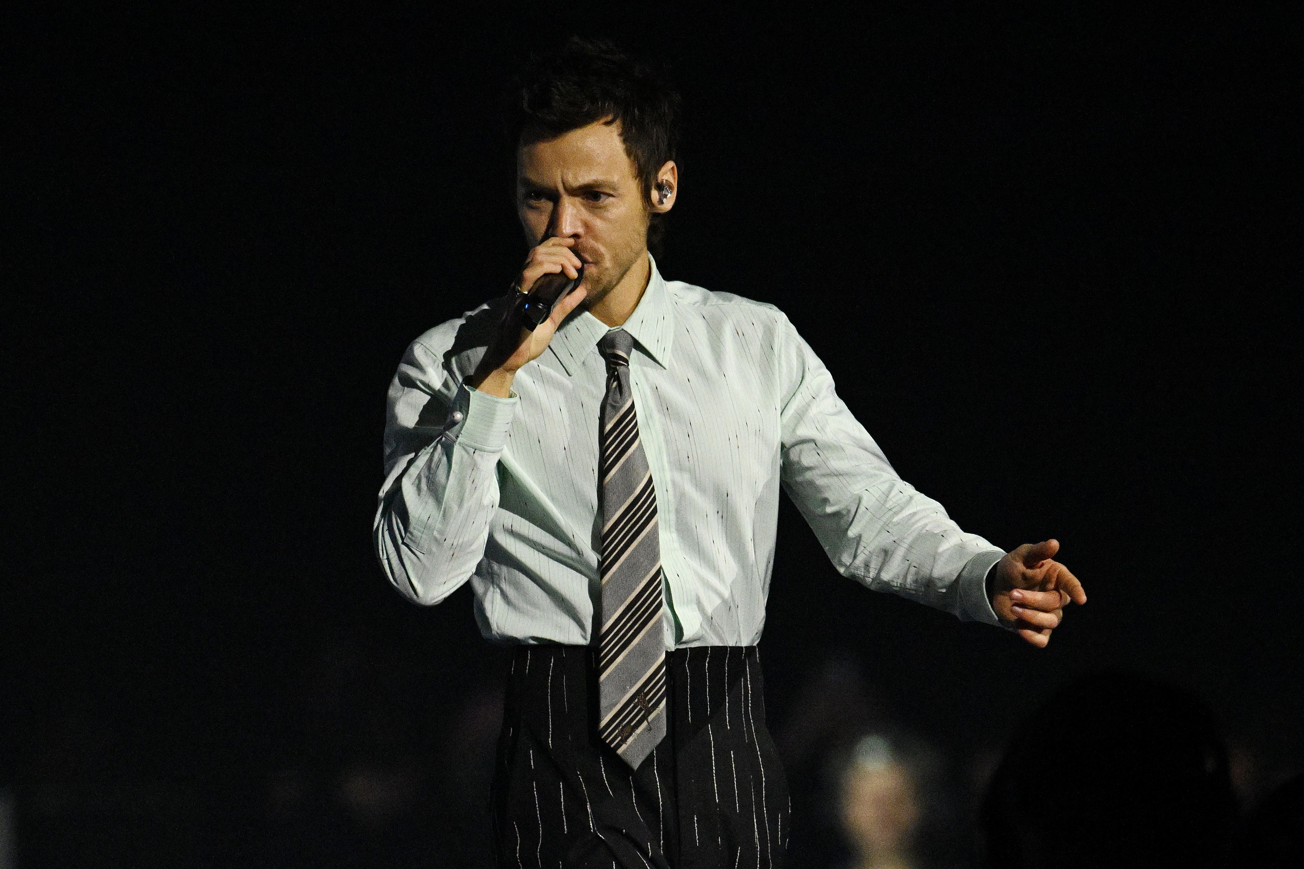 Harry Styles has curated the 2026 Meltdown festival (Doug Peters/PA)