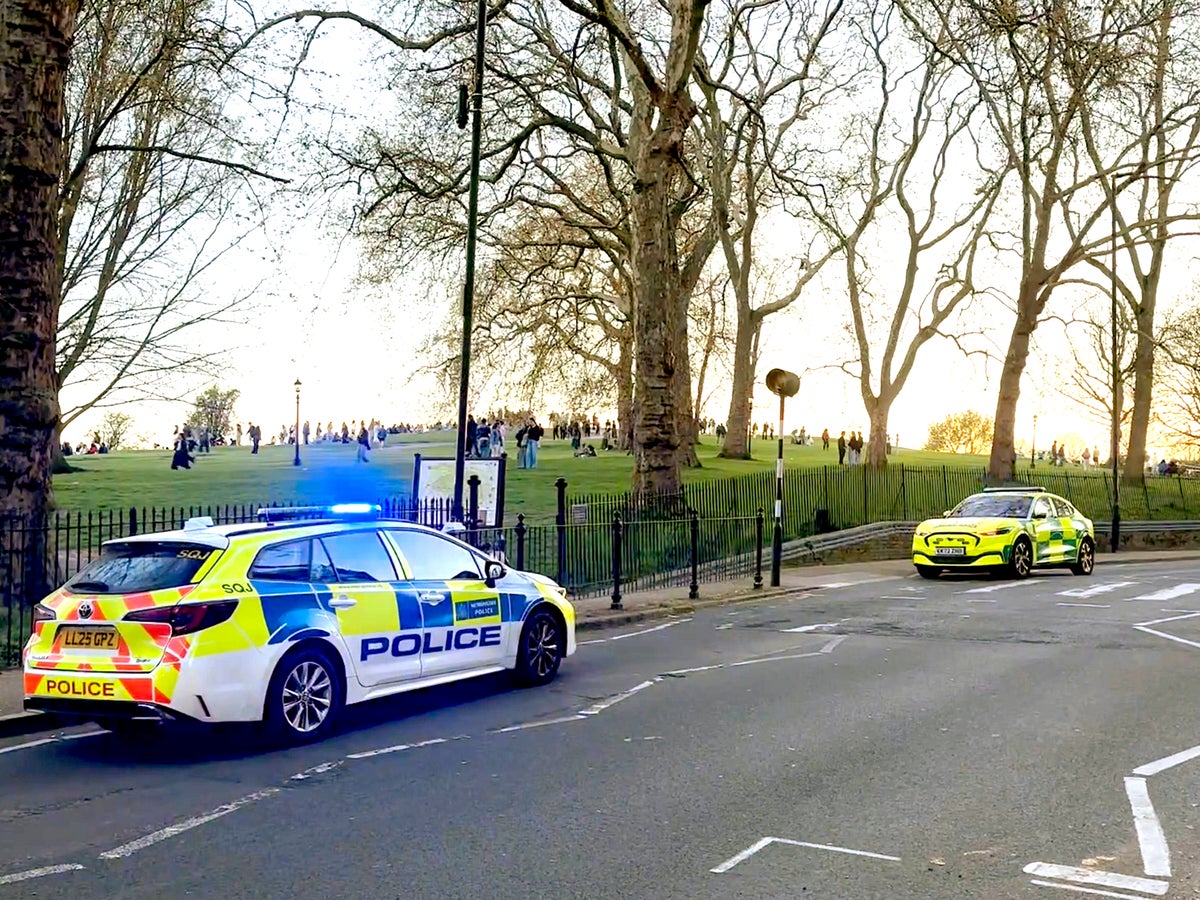 Police launch murder investigation after fatal stabbing at Primrose Hill viewpoint | The Independent
