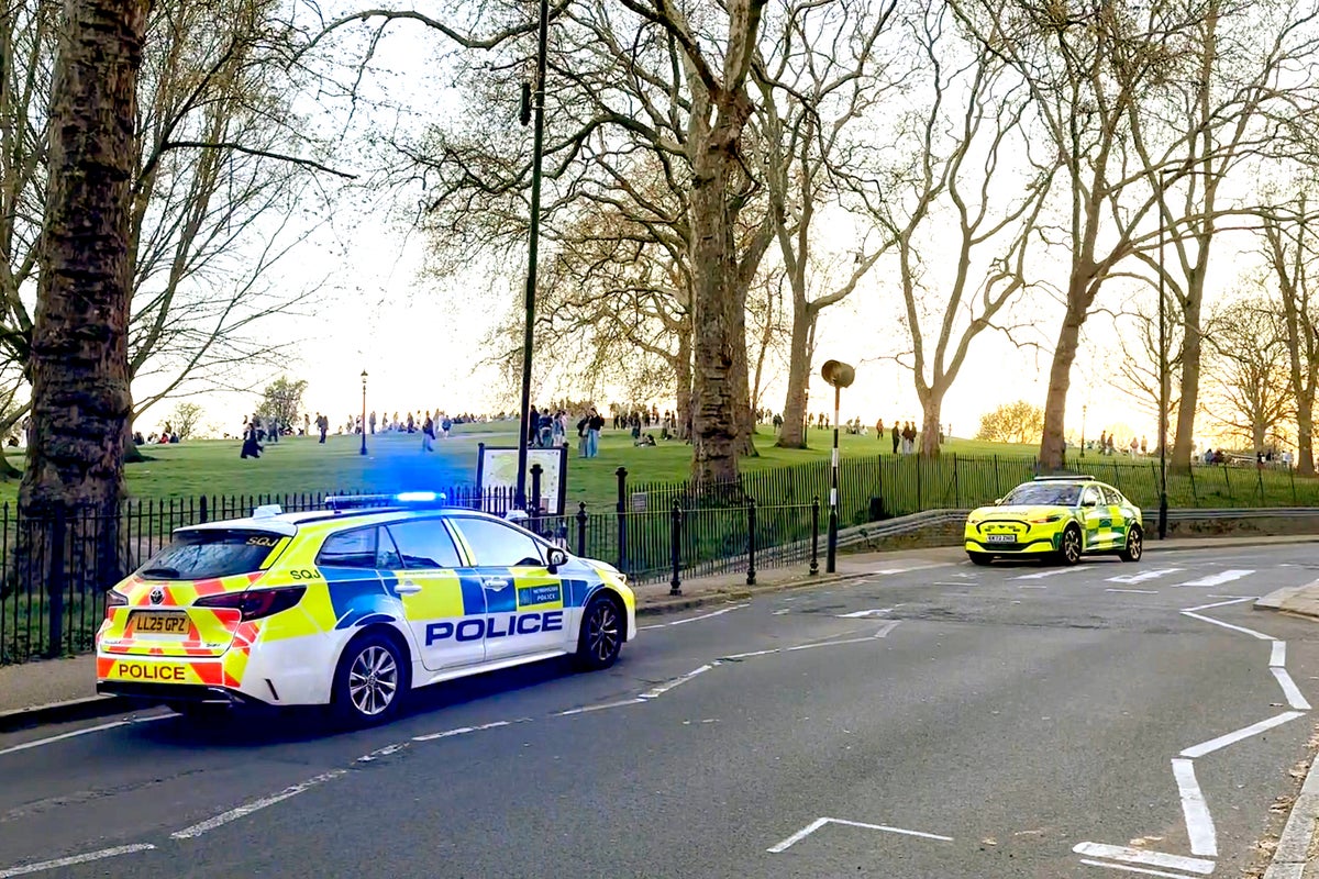 Police launch murder investigation after fatal stabbing at Primrose Hill viewpoint Police launch murder investigation after fatal stabbing at Primrose Hill viewpoint