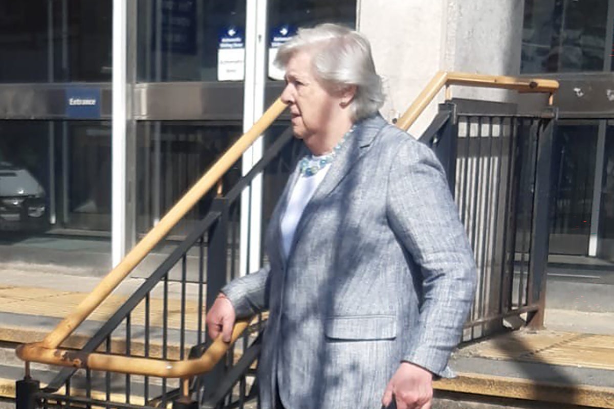 Diana's lady-in-waiting handed driving ban despite plea over brother's care