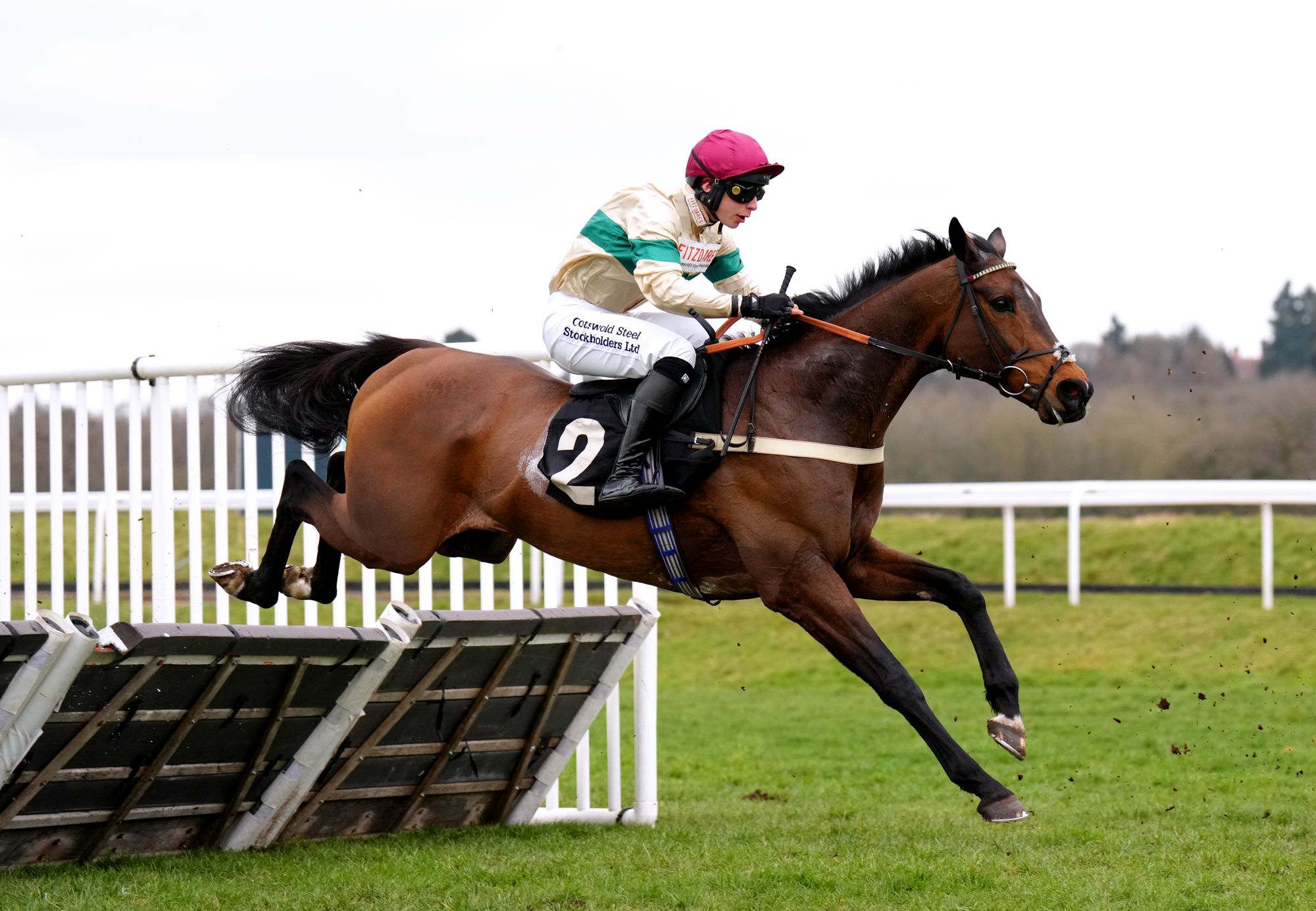 Twig, trained by Ben Pauling, finished 10th last year and is the final entry into the Grand NAtional