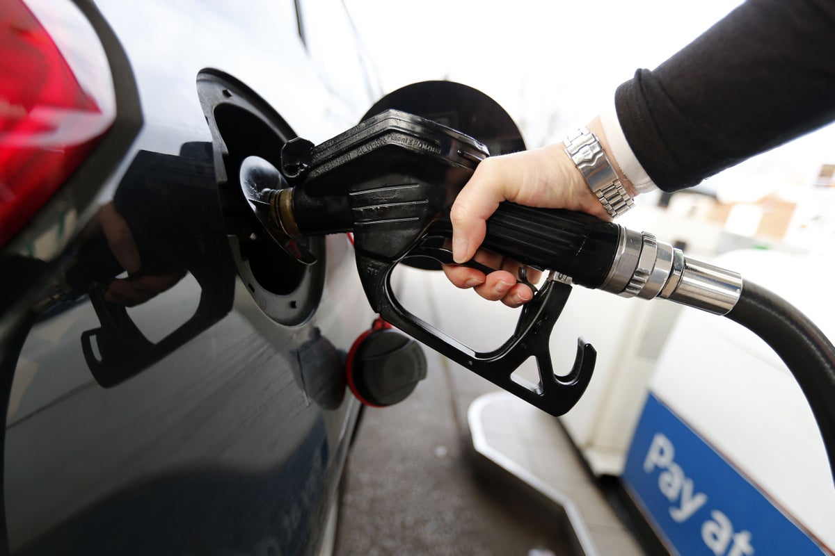 UK workers should stay at home to save fuel, says ex-government adviser
