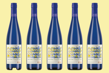 <p>The Aldi plonk costs just £9.99</p>